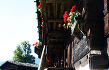 Vecchia casa colonica nel museo etnografico di Teodone