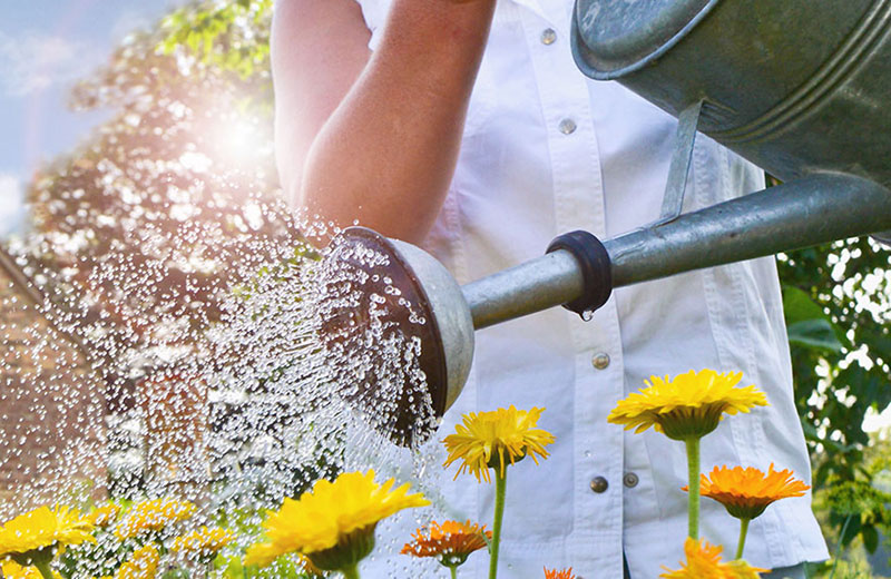 Vacanze in agriturismo a Brunico